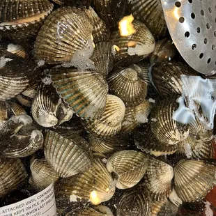 a pile of clams