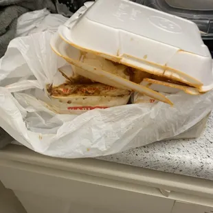 Another picture of my melted styrofoam container of orange tofu