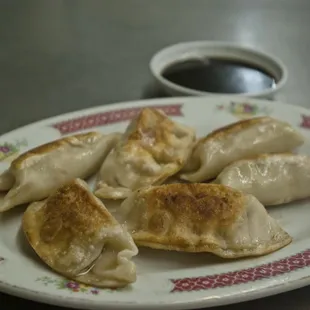 Pot Stickers