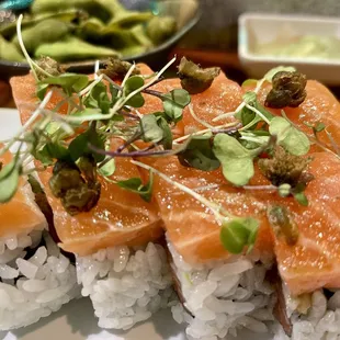 Salmon Delight Roll
