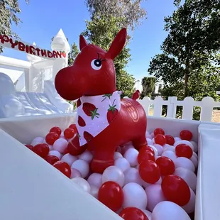 Berry first birthday