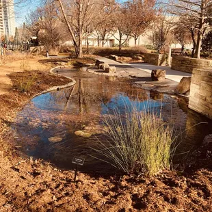Meinders Garden:  Pond In Winter