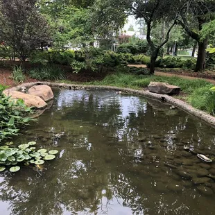 Meinders Garden:  Pond