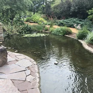 Meinders Garden:  Pond