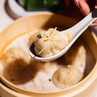 Xiao Long Bao Soup Dumplings