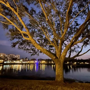 Over looking the small lake