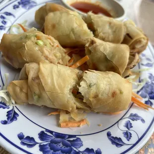 a plate of vegetable spring rolls