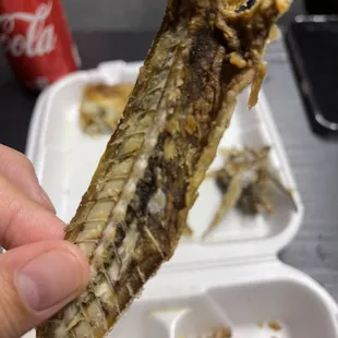 MOLD. Unfeeakinbelievable.