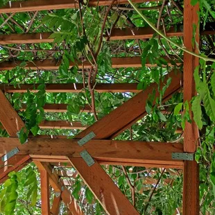 Seek out the patio in back, for a wonderful, shaded place to enjoy a meal