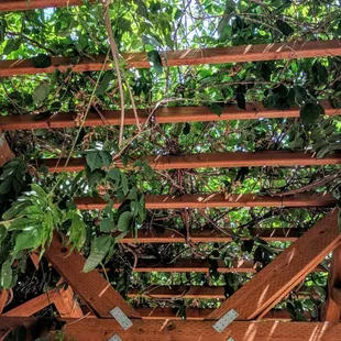 Picture updates - finally visited the patio - expansive, with multiple options for shade