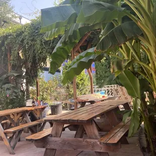 ramen and noodles, outside