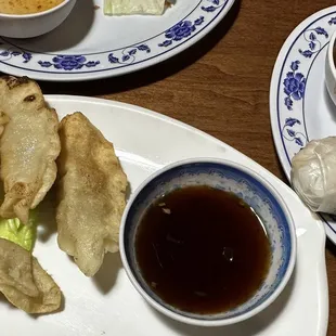 Fried Pork Dumplings