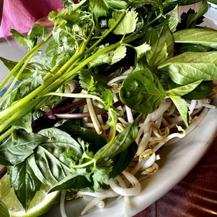 Green for beef Pho