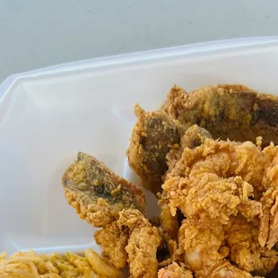 can&apos;t cook fish