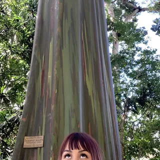 Alejandra A.