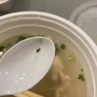 Bug pho