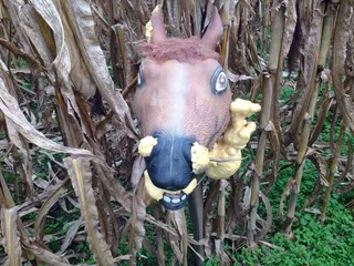 MKPF Haunted Corn Maze