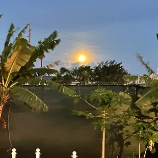 Arrive and enjoying Sunset view entering the main show area