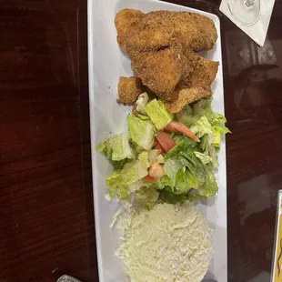 Fried Fish and Salad