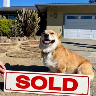 Our corgi and the house we just bought