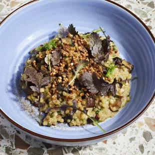 Trahana Pasta w/ Roasted Mushrooms 
Spanish Chorizo, Dried White Figs, Truffle, Fresh Thyme