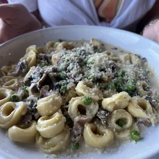 pasta, food, pasta dish