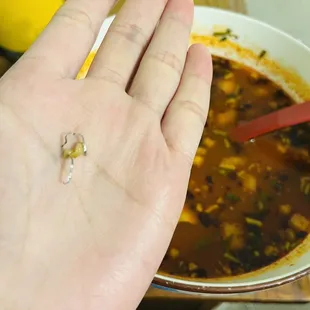 Menudo
