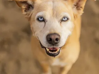 Makenzie Photography