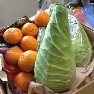 Kool Cabbage &amp; super sweet ojai pixies