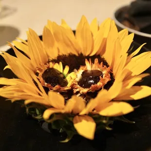 @dumplingadventuress