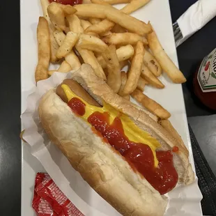 a hot dog and french fries