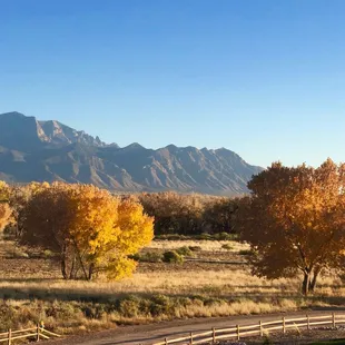 The beauty of the Rio Grande Valley