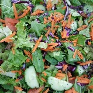 Garden Salad