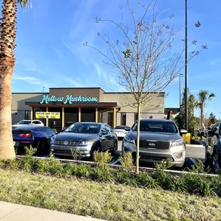 03/12: Beautiful 78 today just down the street from us here at Mellow Mushroom-The Pavilion At Durbin Park.