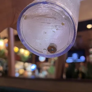 Nasty metal thing in the cup of ice water