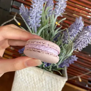 Macaron