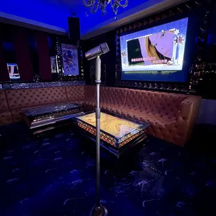 microphone stand in S-VIP room (25 ppl)