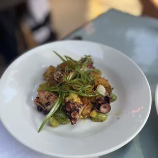 Octopus