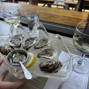 oysters and mussels