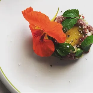 Caribou tartare with yarrow, ground elder, nasturtium seed capers and flowers, spruce salt