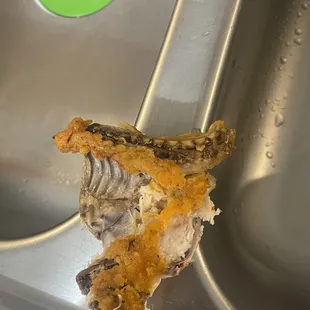 a piece of fish in a sink