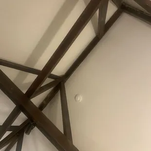 Termite investor wood structure