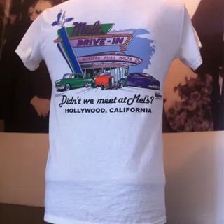 Southern Fried Chicken