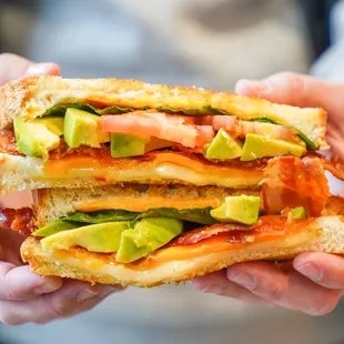 a person holding a sandwich