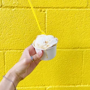 Texas Lavender Honey Crunch