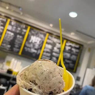 a hand holding a cup of ice cream