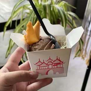 1/2 Pint of Chocolate and Rocky Road