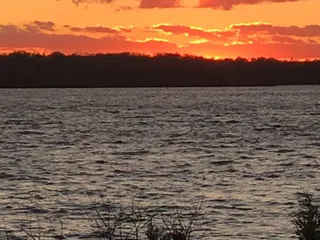 Magnolia At the Dale House