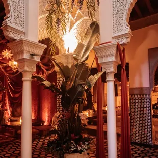 a plant in a pot in a large room