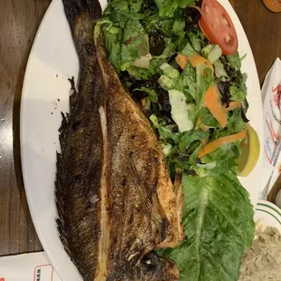 Dorado and salad